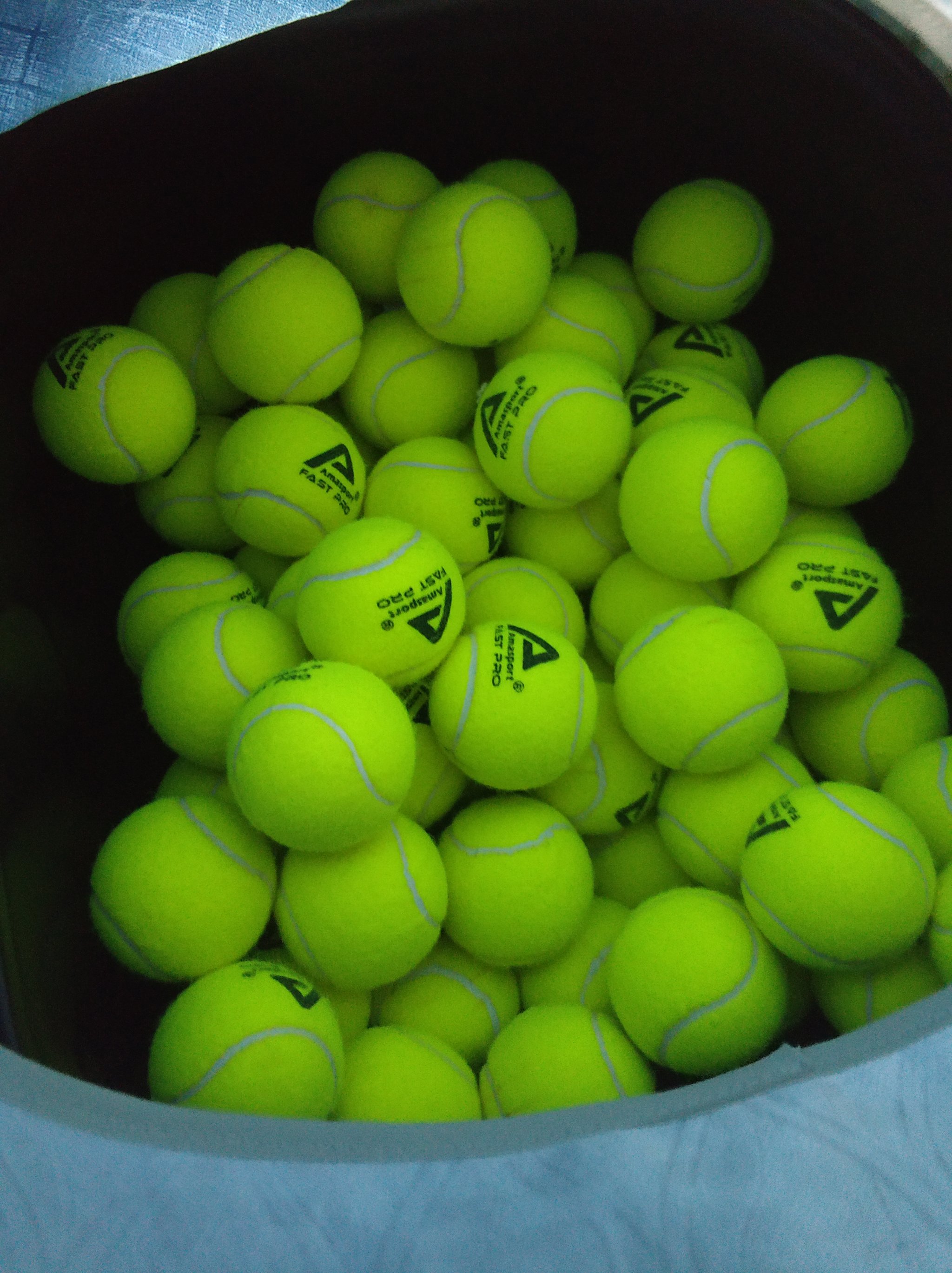 包括体检结 包括体检结